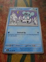 POKEMON  Cubchoo   I  BLK EN  025/086   HP70   2025