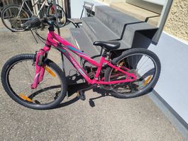 Kinder Velo Specialized pink 24 Zoll guter Zustand