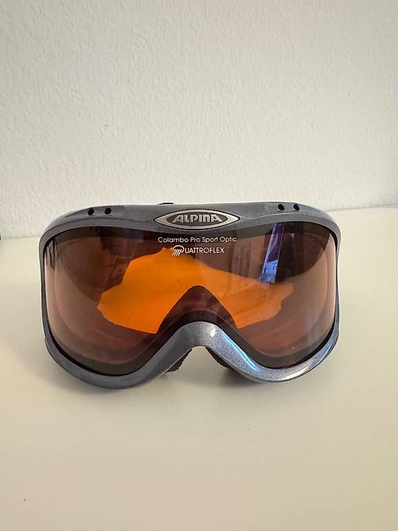 Occhiali & Lenti: ALPINA Skibrille – Usato da Zürich venduto da martinfel 1