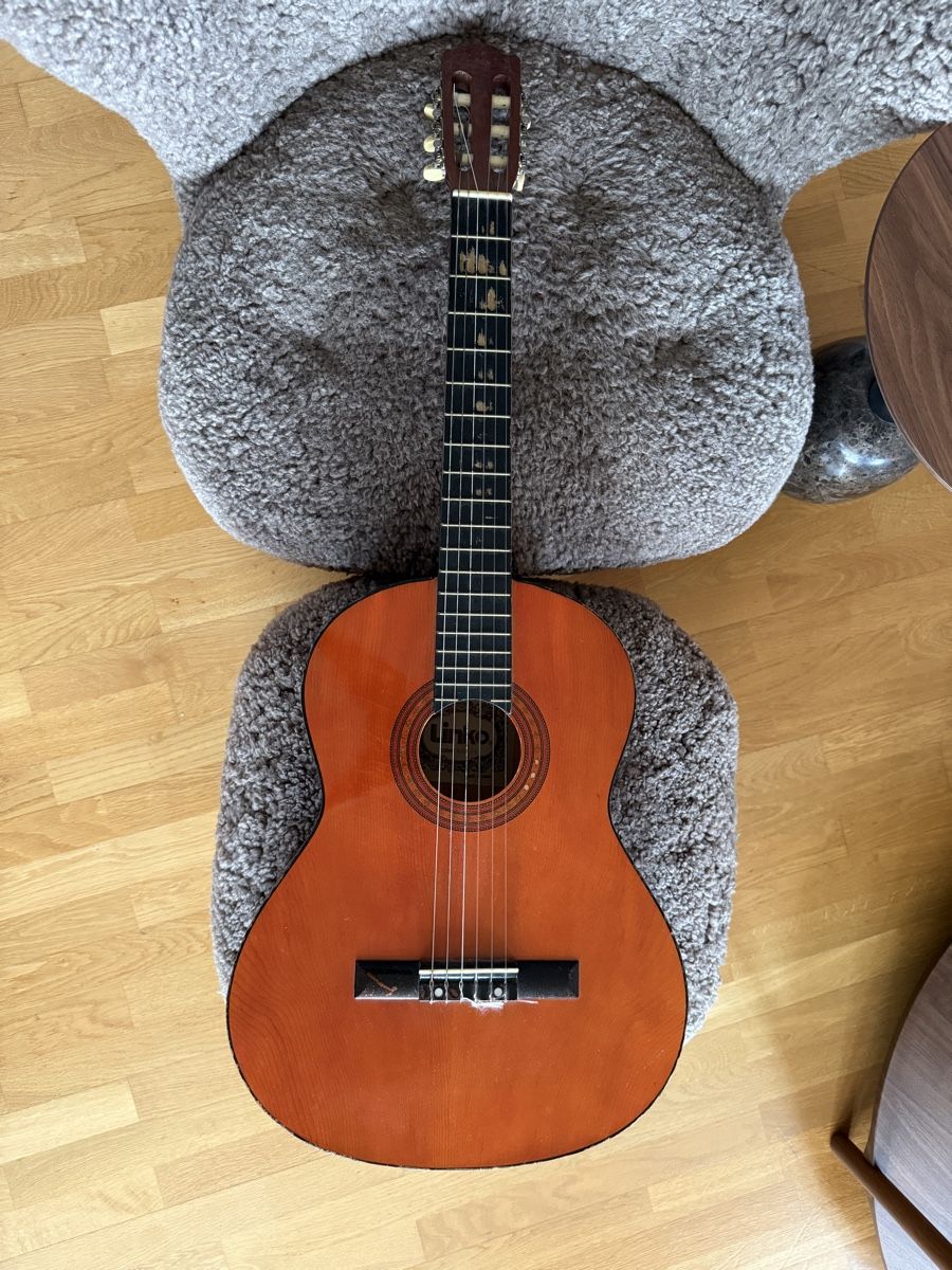 Strumenti musicali: Gitarre inkl. Tasche – Usato da Luzern venduto da Migler 2