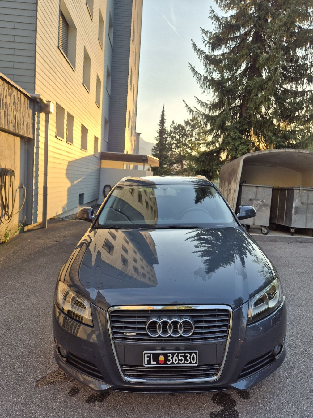 Audi Autos: Audi A3 Quattro 2.0 TFSI – D'occasion à Vaduz par feu_vad 1