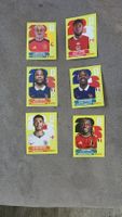 Panini 6 Topspieler
