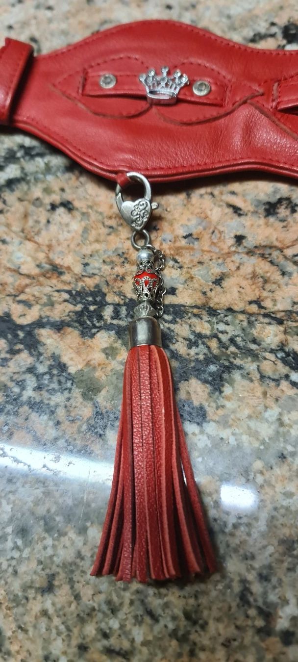 Leine & Halsband: Windhund Halsband – Neu (gemäss Beschreibung) aus Bellerive VD von Hermes5 3