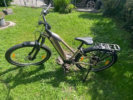 Bici Elettrica Trekking Taglia M color Cacao usata
