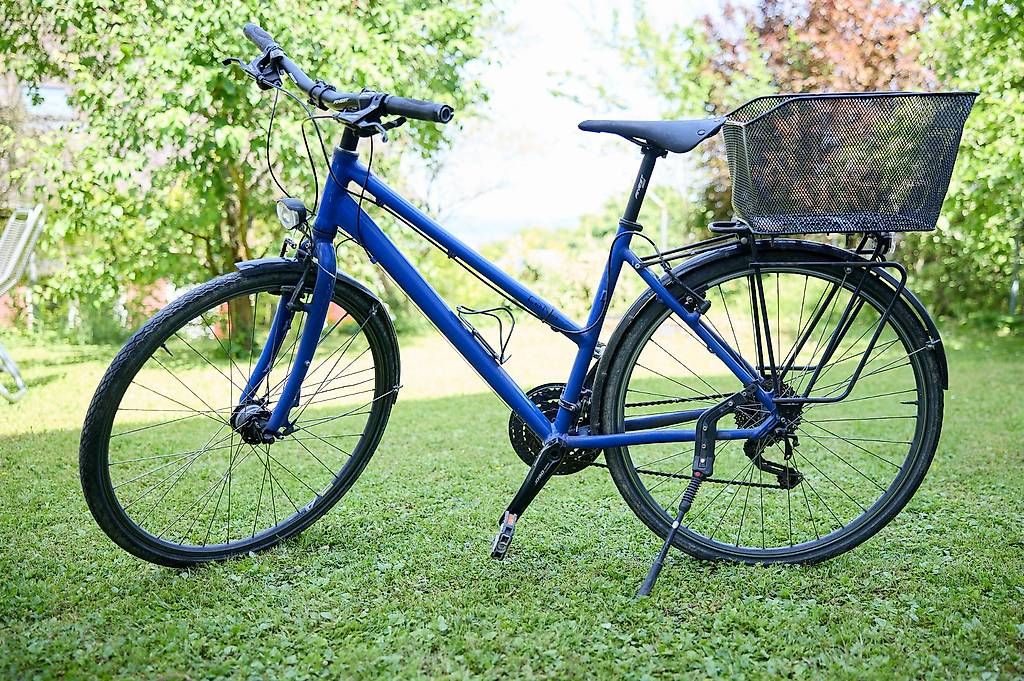 Velos: Damenrad Poison Lena Gr M blau – Gebraucht aus Arlesheim von Isenegger