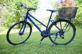 Damenrad Poison Lena Gr M blau