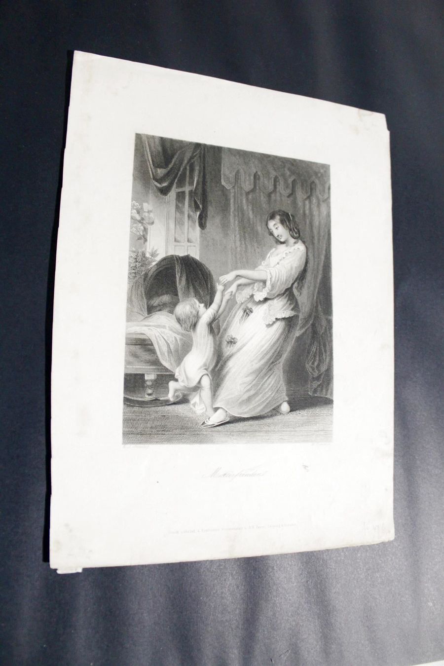 Incisioni: HAROLD JOHN STANLAY (England, 1817-1867) – Usato da Bern venduto da Vintageprints 5