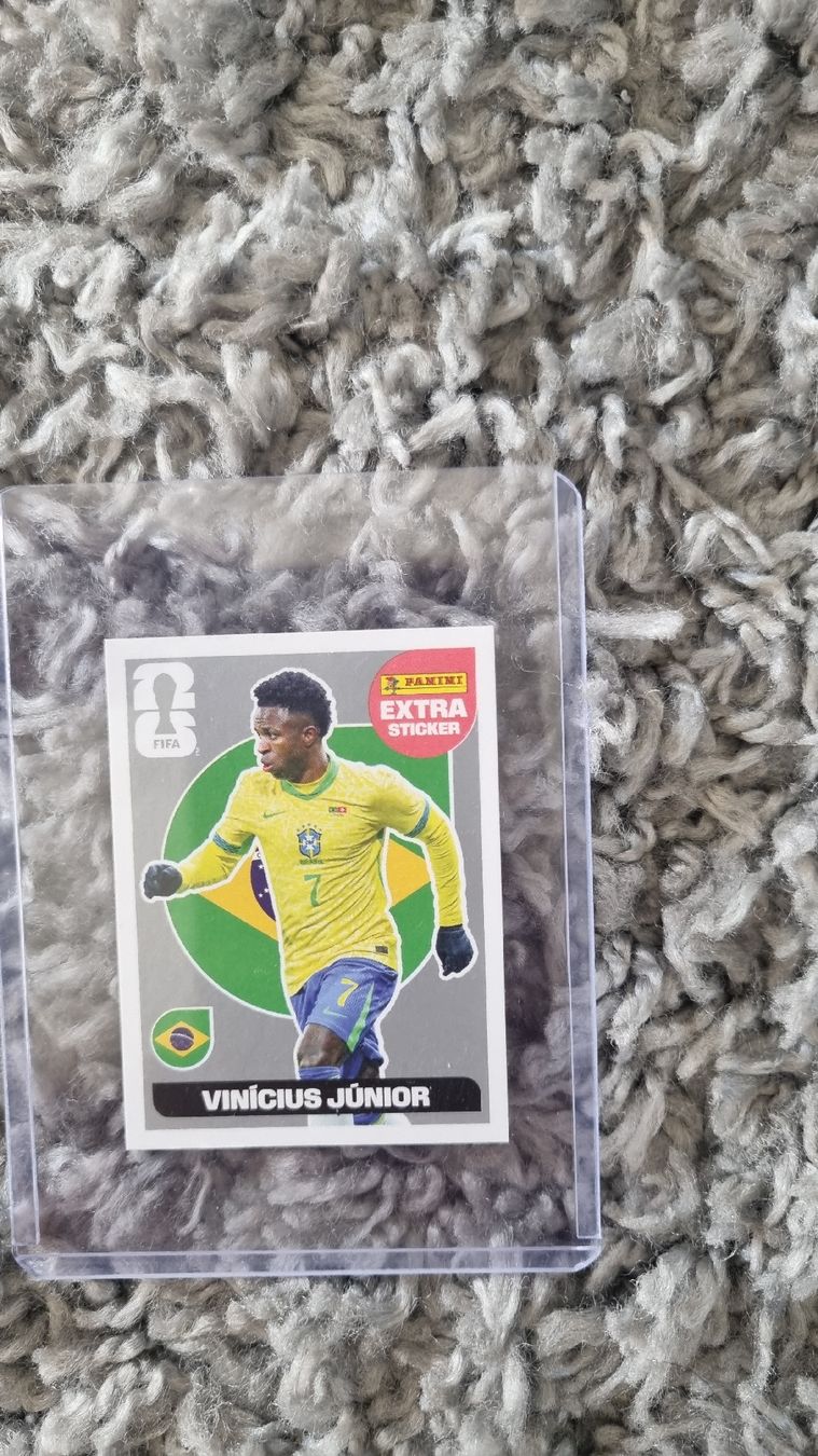 Panini Carte collezionabili: WM Extra sricker 2026 Vini jr – Usato da Lausen venduto da pga_6xwg