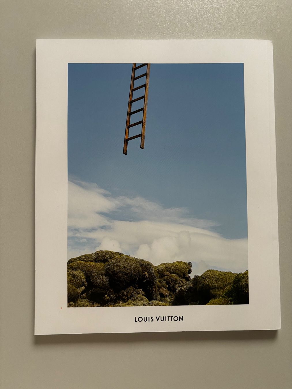 Libri: Louis Vuitton Katalog The book #12 – Nuovo (secondo la descrizione) da Hägendorf venduto da Moro143 1