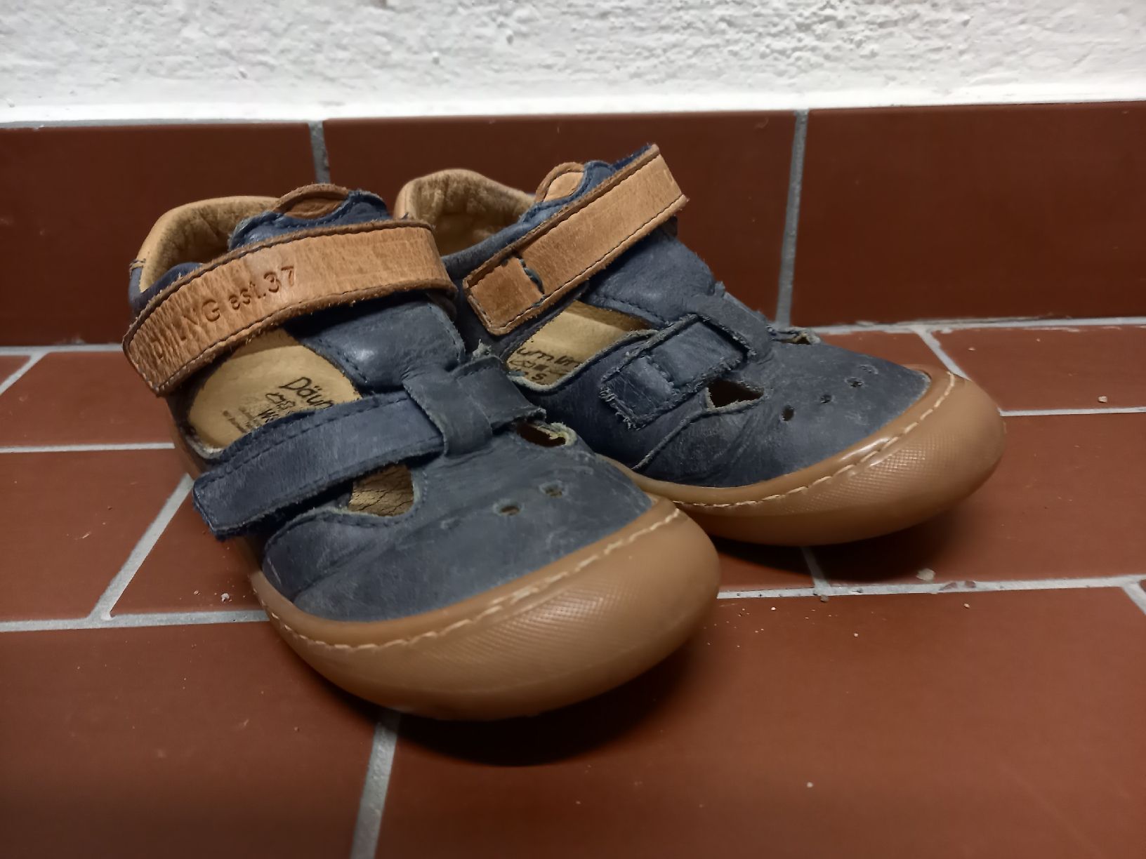Scarpe per ragazzi: Däumling Sandalen, Lauflernsandal, Gr. 24 – Usato da Zürich venduto da HansBald 1