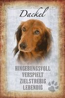 Blechschild-STECKBRIEF-DACKEL HUND