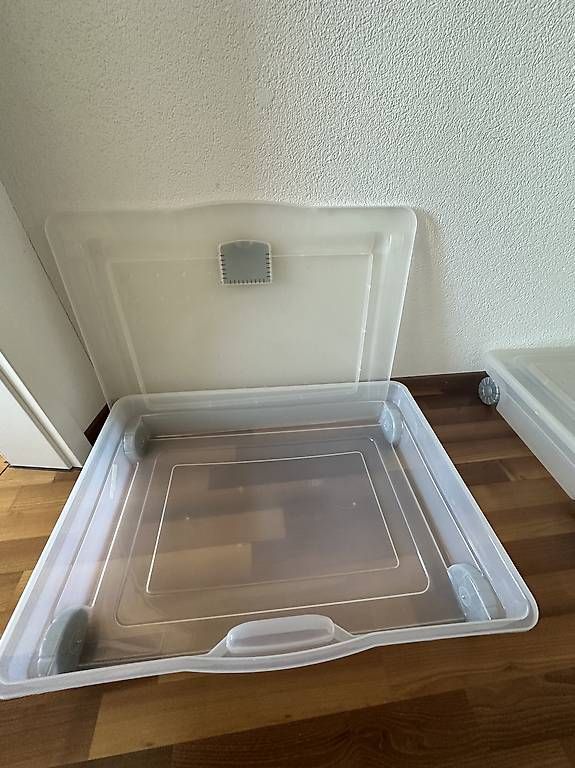 Behälter & Ähnliches: Plastik-Box auf Räder, stapelbar – Gebraucht aus Hochfelden von sus_776p 3