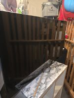 Samsung TV 48 Zoll