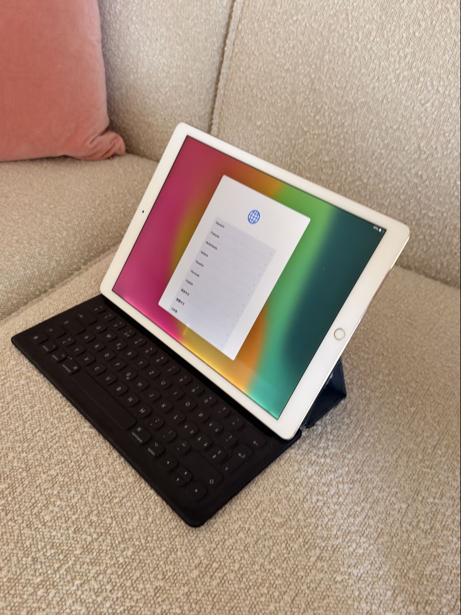 Apple Tablet PC: iPad Pro (12.9-inch) (2nd Generation)  – Usato da Uitikon Waldegg venduto da sdman 6