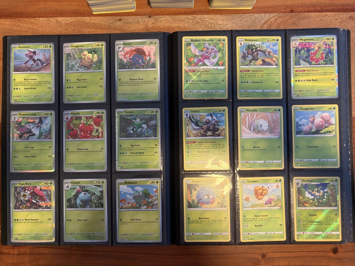 Pokémon Carte collezionabili: 550+ Pokémon Karten & Binder (diverse Sets) – Usato da Frauenfeld venduto da LTK_07 5
