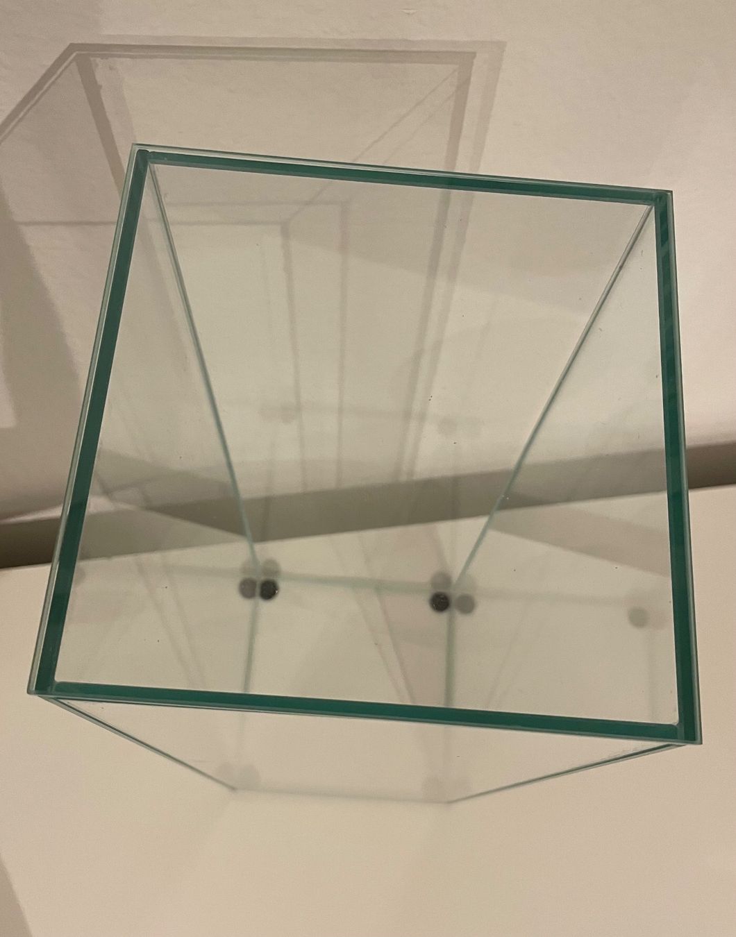 Terrario: Glasbecken / Terrarium / Vitrine – Usato da Zürich venduto da mar_xfn9