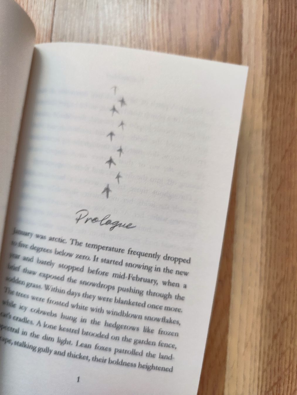 Bücher: Raising Hare by Chloe Dalton Book – Gebraucht aus Mägenwil von VintageGirly 7