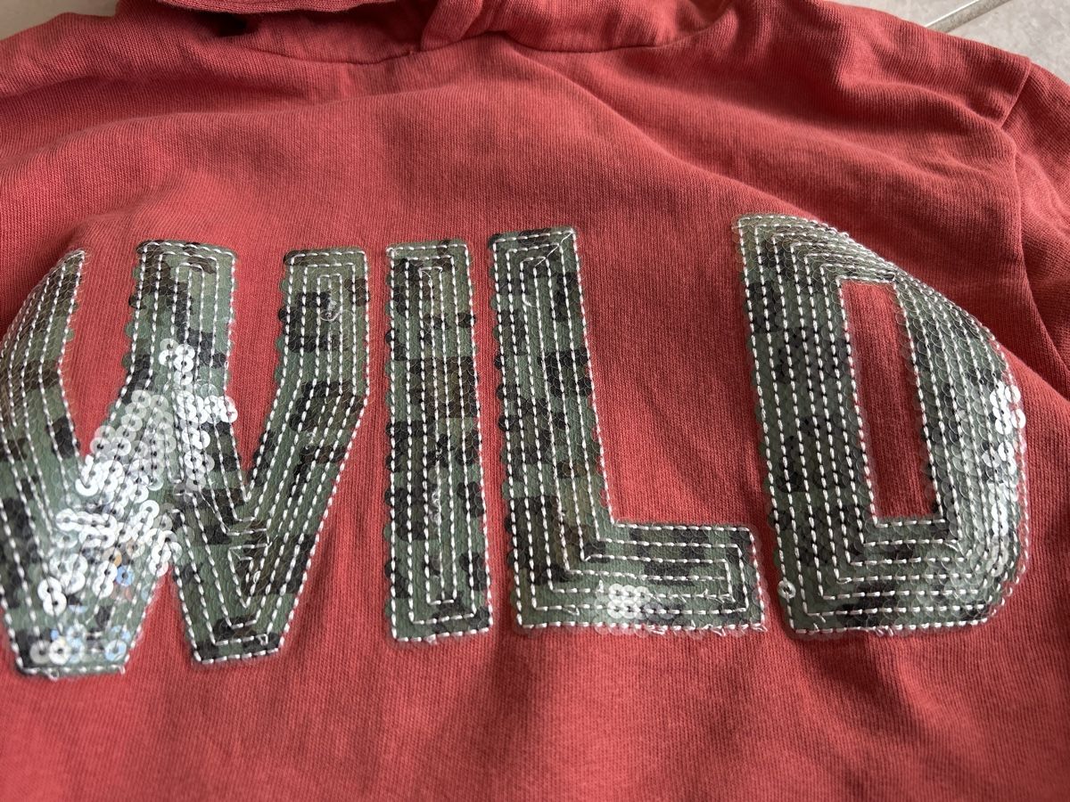 Pullover & Sweatshirts: Pullover Gr 146/152 – Gebraucht aus Lostorf von Venice16 1