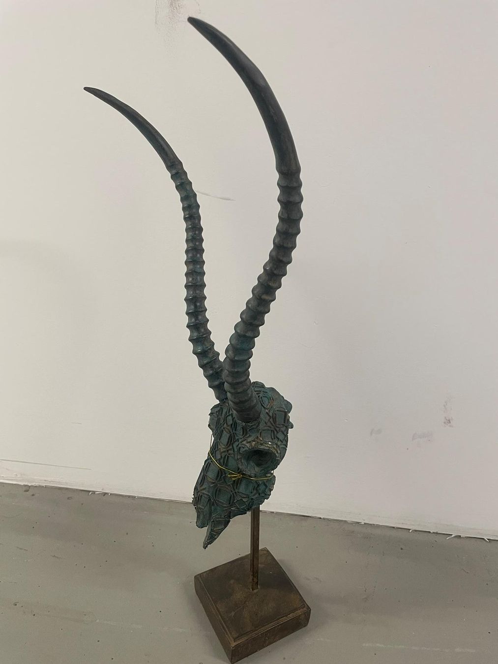 Tutte le decorazioni: Geweih/Antilope/Dekoration/Neu/OVP – Nuovo e nell'imballaggio originale da Volketswil venduto da rubin74 1