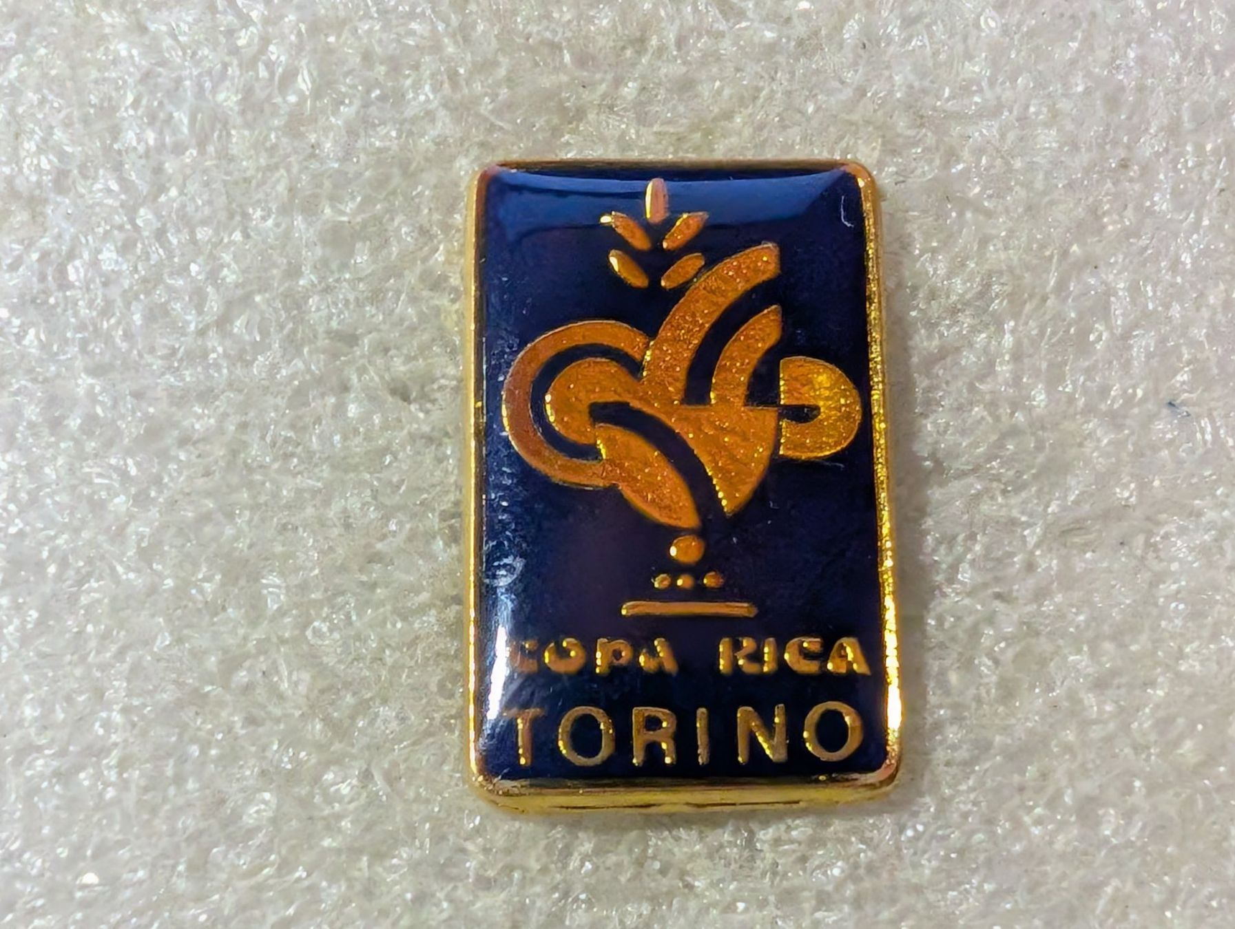 Placchette & Badge: Ansteckpin 123: Torino – Usato da Oppligen venduto da Pin-Fall-Shop