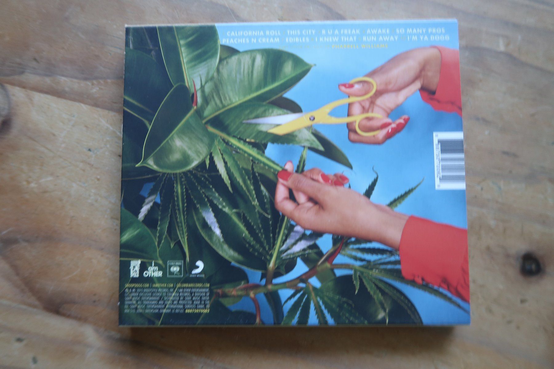 CD: SNOOP DOGG - BUSH - CD – Usato da Basel venduto da Patiscat 2