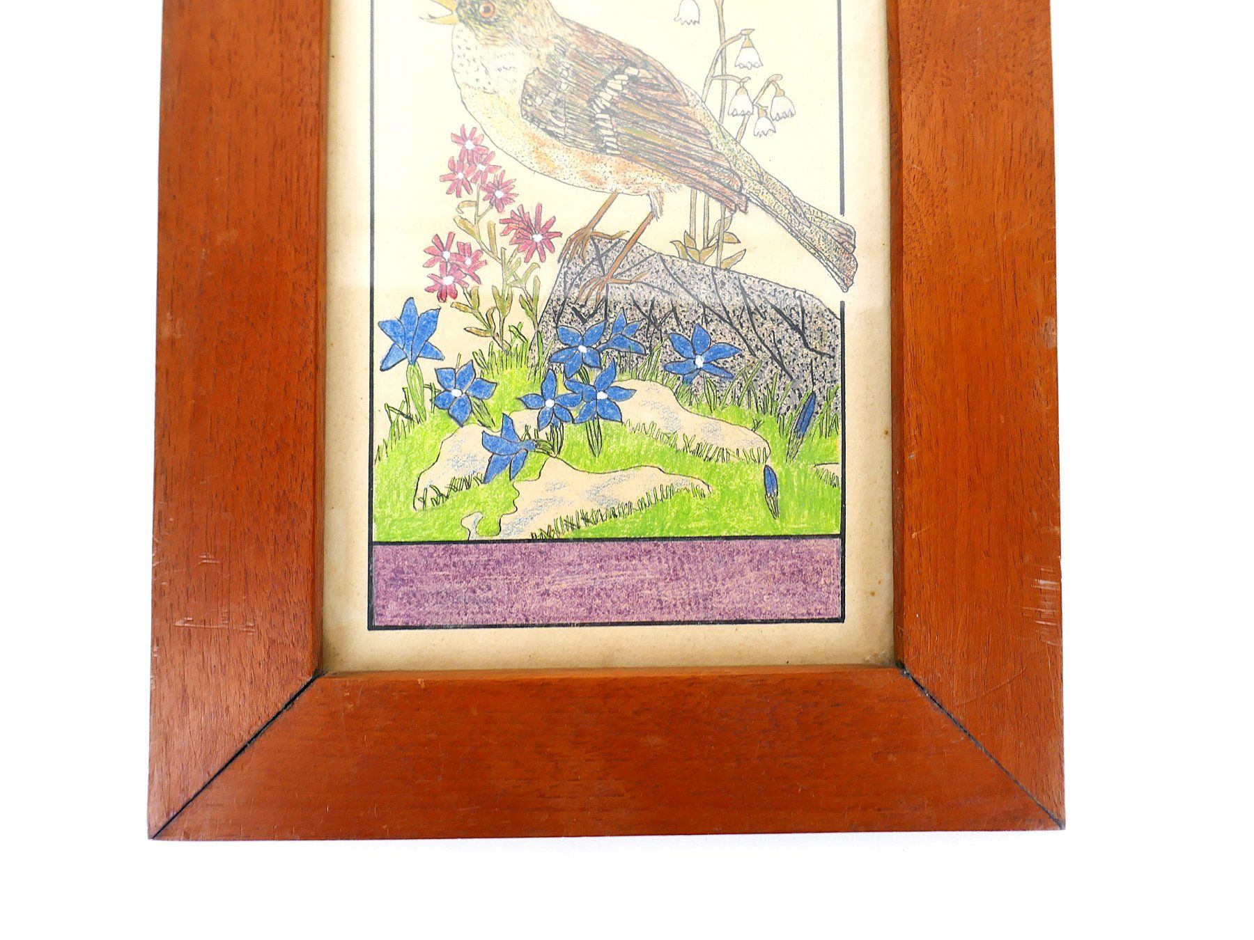 Tableaux: Vogel Zeichnung – D'occasion à Urtenen-Schönbühl par Restwert_Schoenbuehl 1