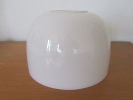 Lampenglas / Lampenschirm