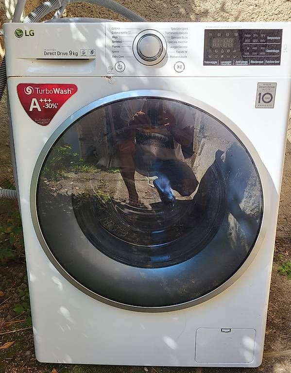 Lavatrici: Lavatrice LG Direct Drive – Usato da Sessa venduto da mau_lm9q 4