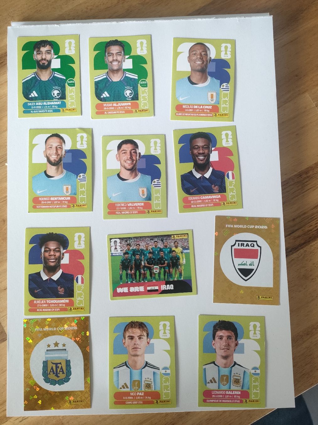 Panini Carte collezionabili: Paninis WM  – Nuovo (secondo la descrizione) da Therwil venduto da OliviaH01