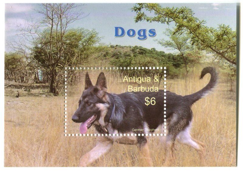 Tous les timbres: Block "Deutsche Schäferhund". Antigua und Barbuda – Neuf avec emballage d'origine à Basel par Butsch5