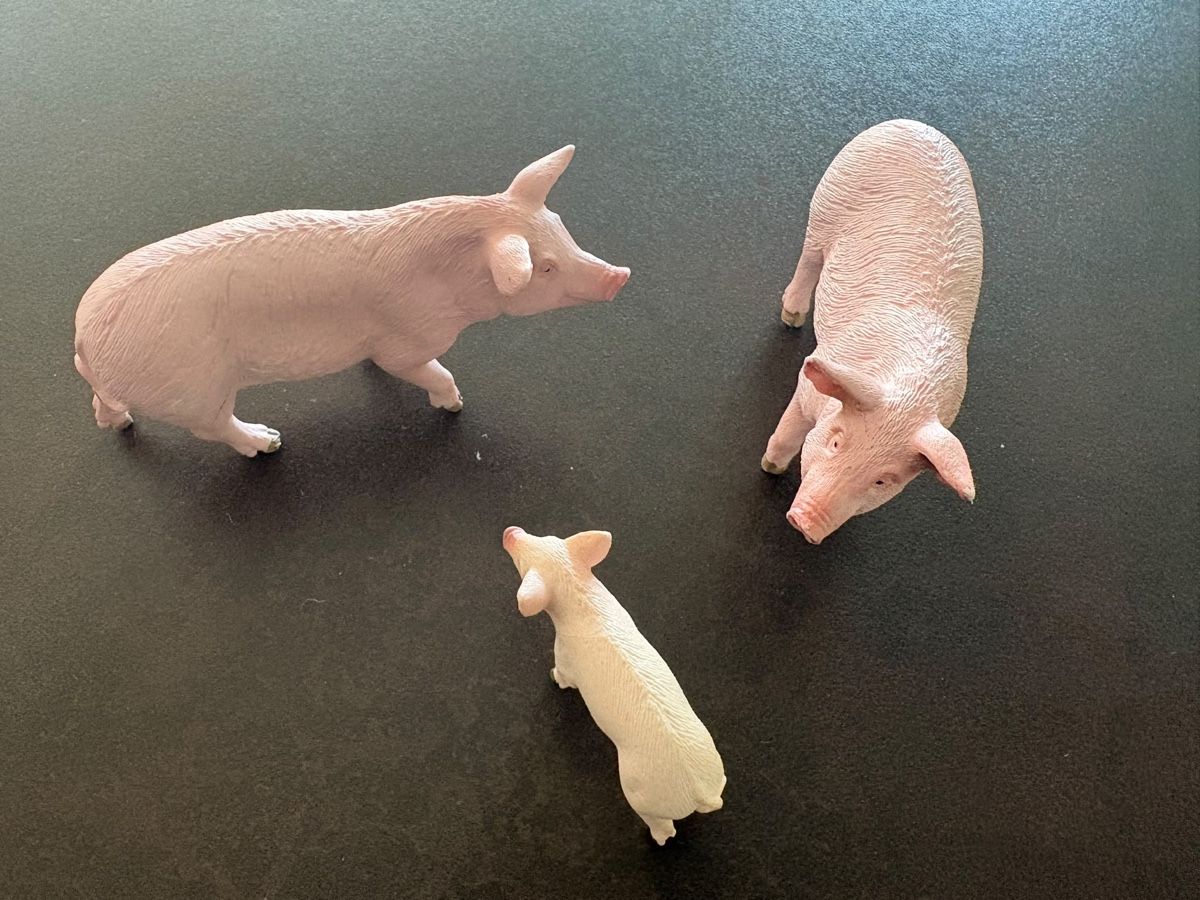 Schleich Jouets: Schleichfiguren  – D'occasion à Walchwil par Pirib82 1
