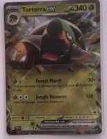 POKEMON EN - Torterra ex 012/162 TEF