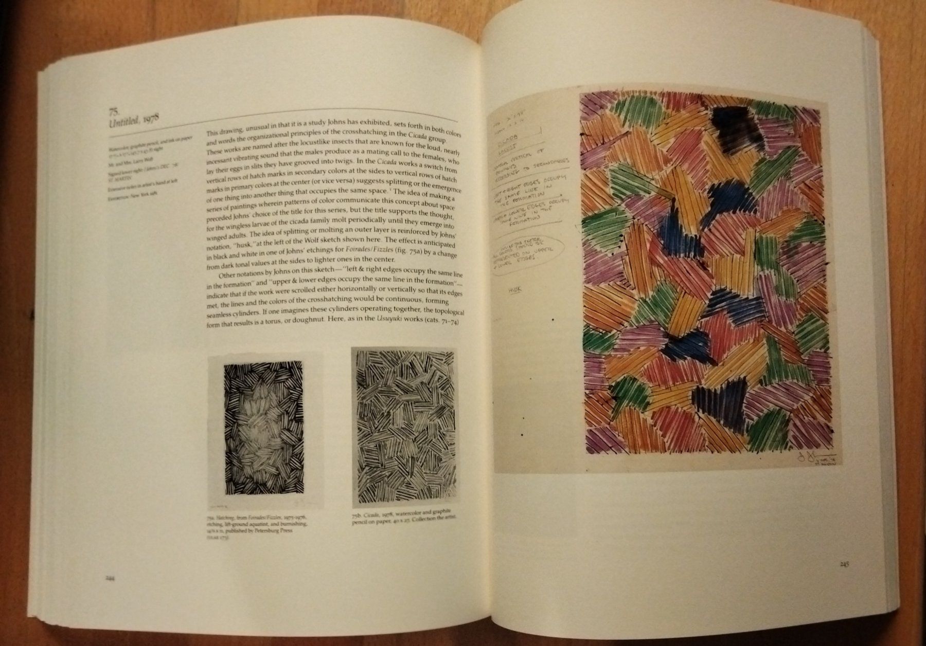 Bücher: The Drawings of  Jasper Johns – Gebraucht aus Niederglatt ZH von Siegfried67 5