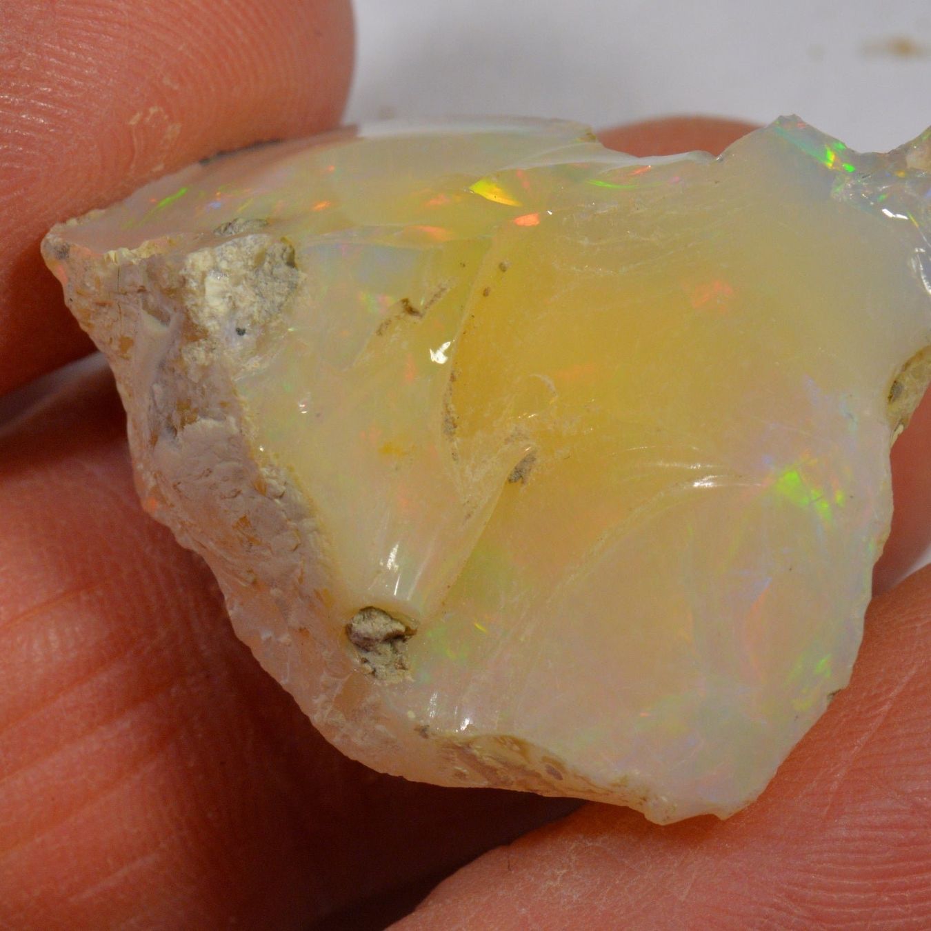 Pietre preziose: 31.5 Karat - Roher Äthiopischer Welo Opal – Nuovo (secondo la descrizione) da Rüti ZH venduto da DeinOpal 1