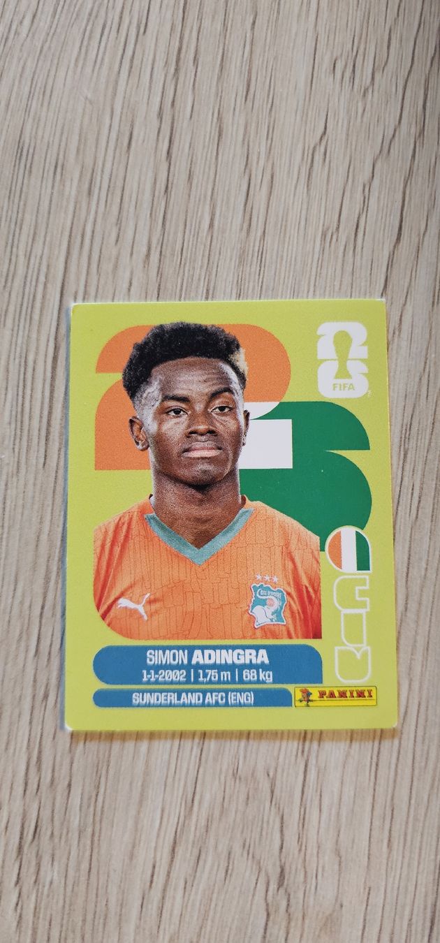 Panini Cartes à collectionner: Fifa World Cup Panini CIV 17 – Neuf avec emballage d'origine à Biel VS par volcom8702