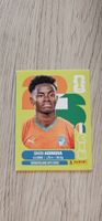 Fifa World Cup Panini CIV 17