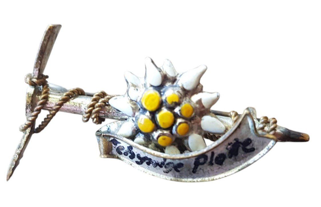 Spille & Fermagli: Abzeichen antik Edelweiss Schynige Platte – Usato da Mörschwil venduto da antiksalon 2