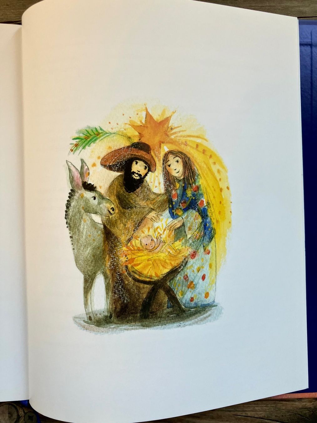 Bücher: Weihnachstduft und Sternenglanz – Gebraucht aus Winterthur von Barunggeli 5
