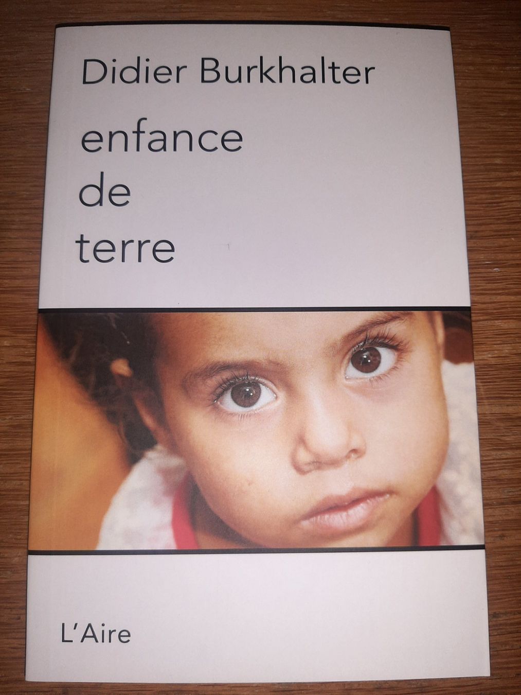 Libri: 4 Livres Didier Burkhalter – Usato da Neuchâtel venduto da Budy.jul-5 1