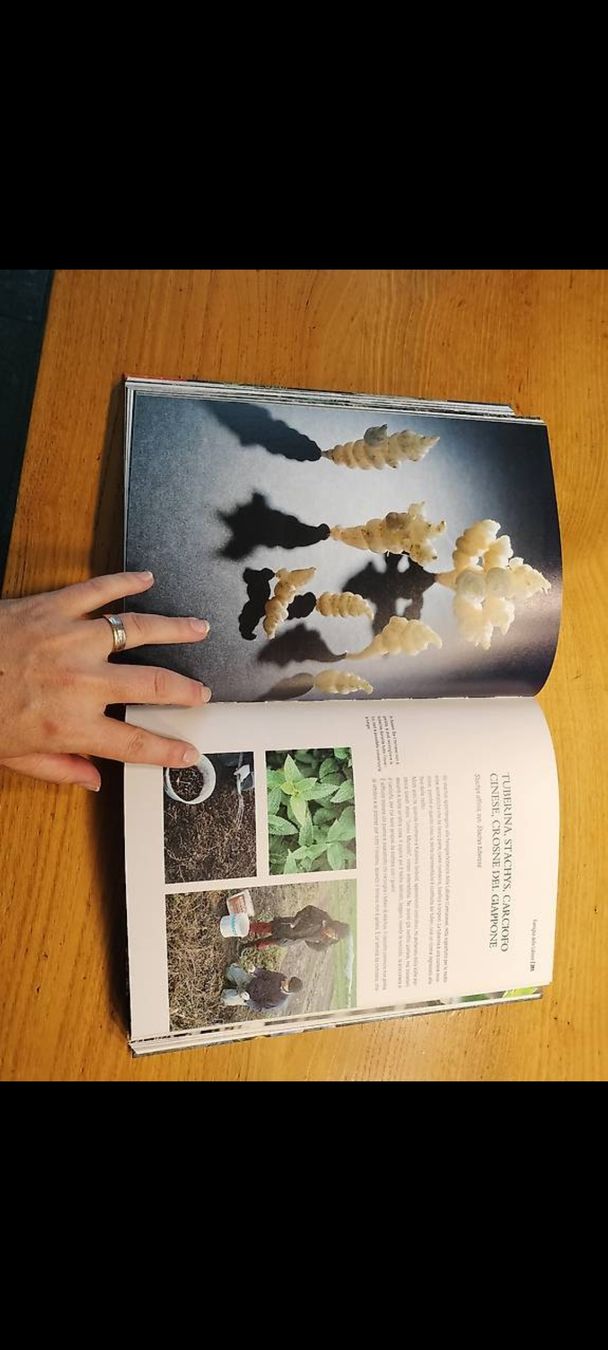 Bücher: Buch Meret Bissegger Herbs Winter Kochbuch neu – Neu (gemäss Beschreibung) aus Gordevio von LadyTicino 2