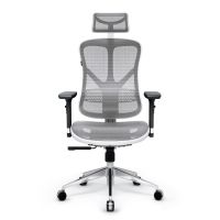 Ergonomischer Schreibtischstuhl Diablo V-Basic - Weiss-Grau