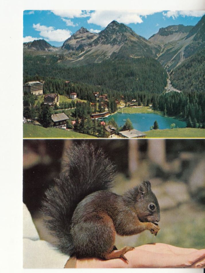Ansichtskarten: Arosa ca. 1970 – Gebraucht aus Bürglen TG von StampGraf