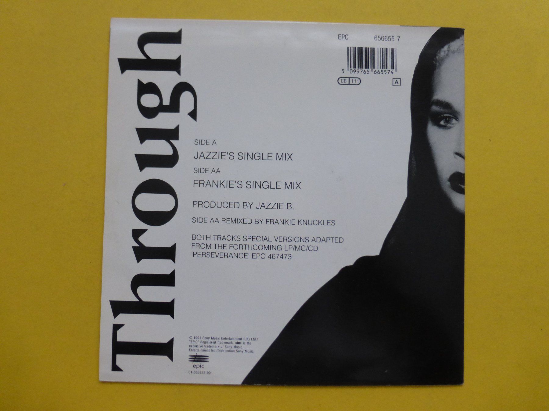 Schallplatten: Victoria Wilson-James – Through – Gebraucht aus Zürich von Swiss57 1