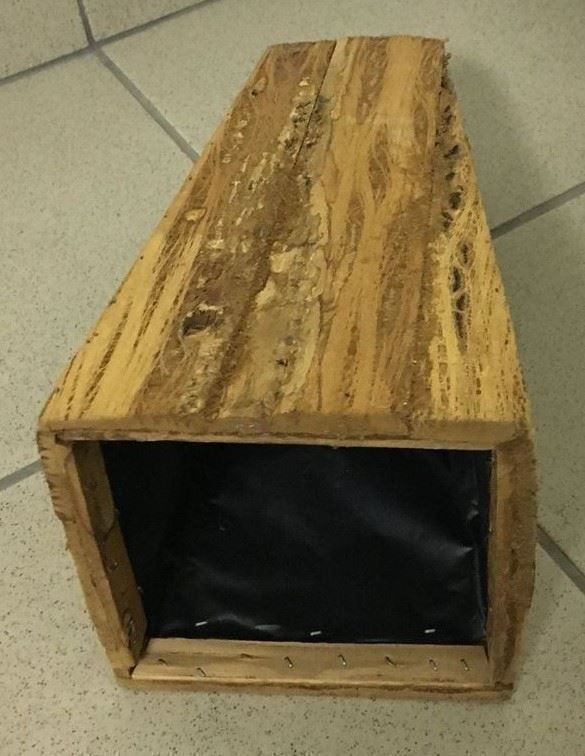 Piante & sementi: Holz Topf mit Buchs Kugel ... – Nuovo (secondo la descrizione) da Chur venduto da Jacki09 3