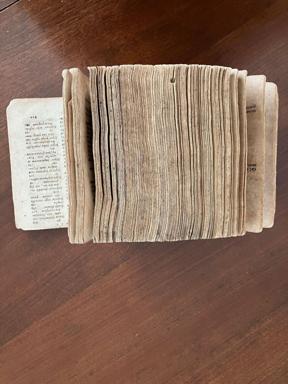 Libri: Cäsar Caesaris Latein Rome Geschichte Religion Leben Band – Usato da Beringen venduto da Amadeo8 8