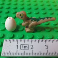 Dinosaurier Baby (braun-grün) und Ei