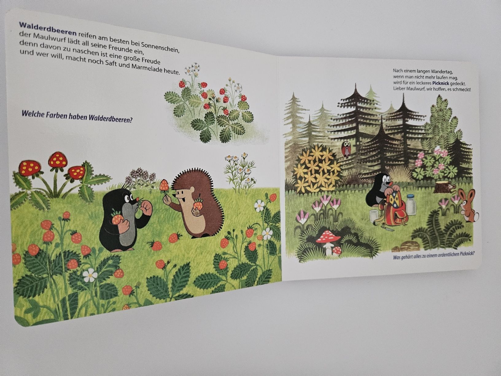 Libri: Der Maulwurf im Wald / Kinderbuch – Usato da Oberdorf BL venduto da BaldenEagle 1