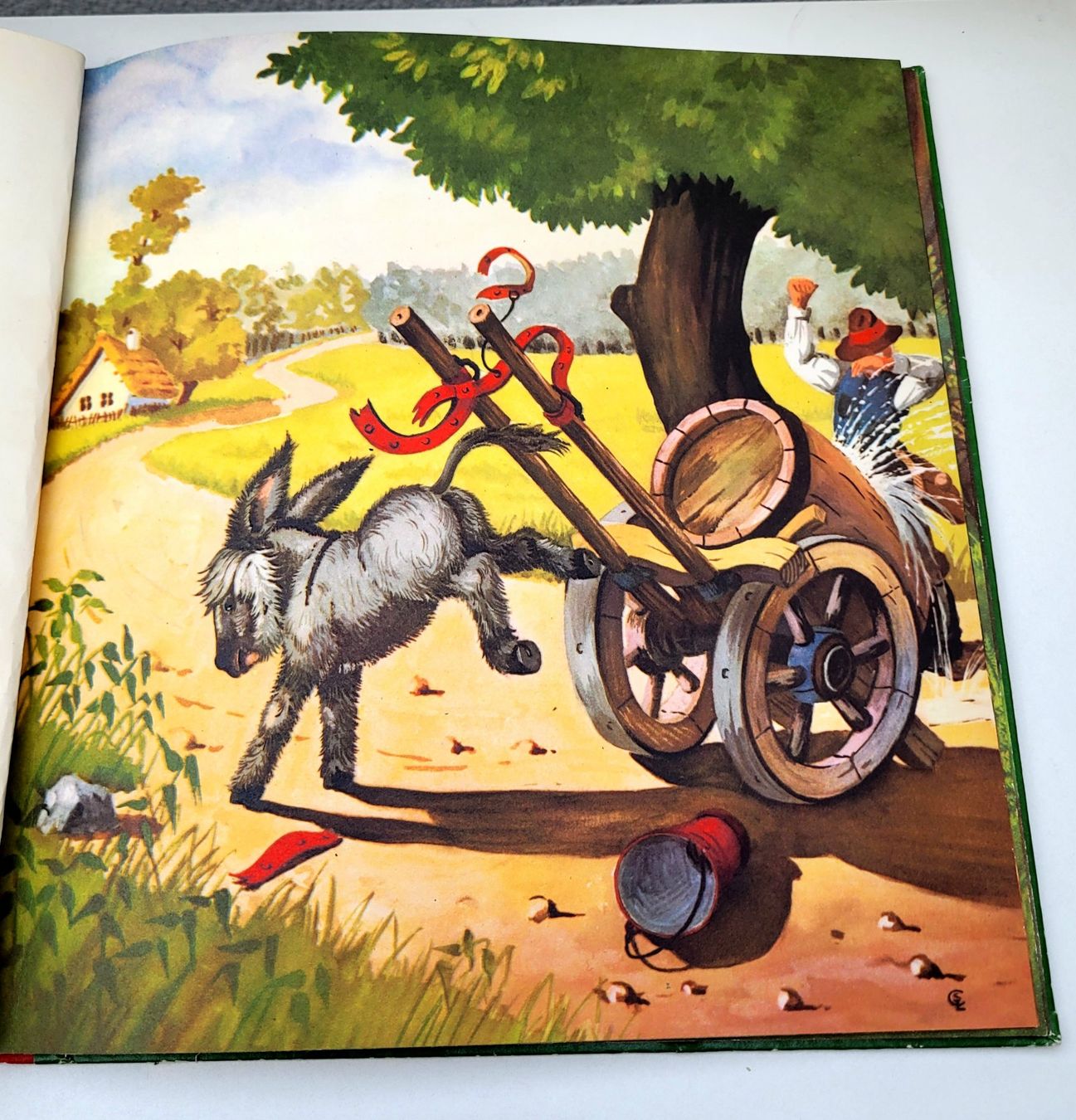 Libri: DICKKOPF Vintage Kinderbuch von 1961 – Usato da Oberuzwil venduto da rtr_wp6m 2