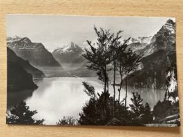 Alte Postkarte Vierwaldstättersee Bristenstock