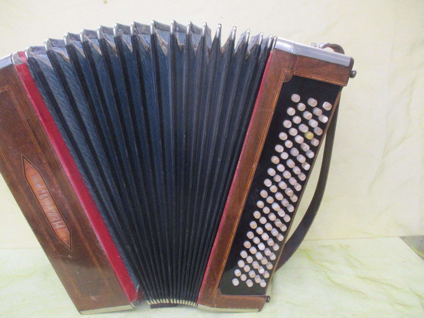Strumenti musicali: Akkordeon Hercule – Usato da Jegenstorf venduto da Oktavio 3